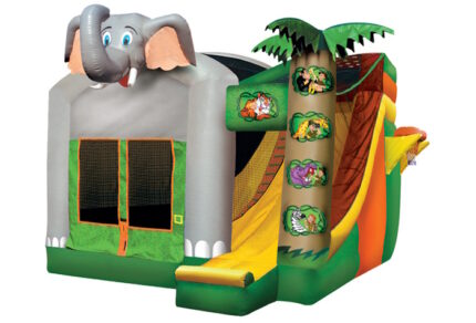 Jungle Score Combo Party Rental Dallas, TX